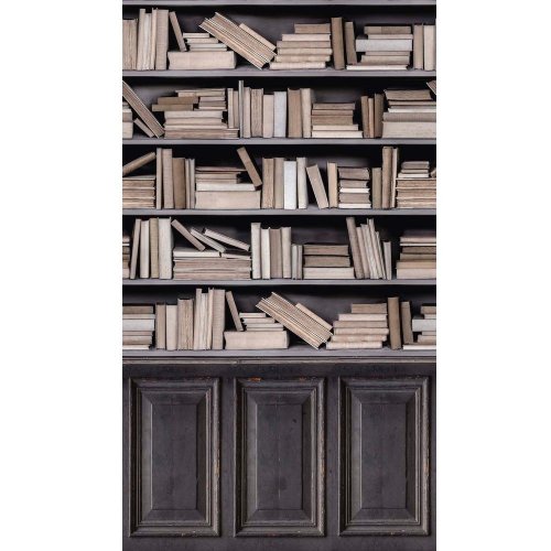 Grandeco Bookcase Wall Mural