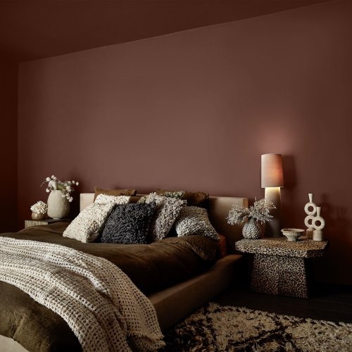 Detailed paint image of Abigail Ahern Earthen Nomad Room