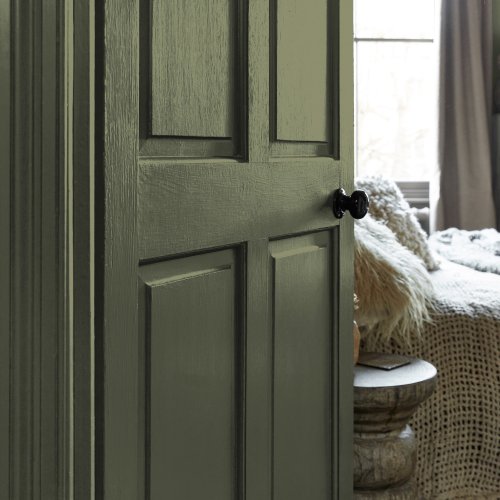Painted door in Abigail Ahern Kelp Harbour with moody, botanical-inspired styling
