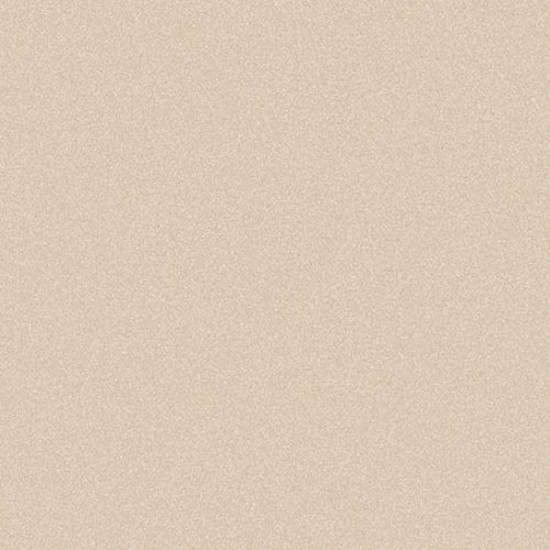 Craig & Rose Artisan Metallic Neutral Intrigue Paint
