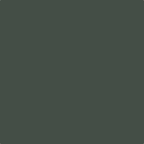 Flat image of Craig & Rose Angelica paint with a rich matt finish