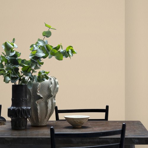 Interior room painted in Craig & Rose Deep Sung Cream with minimal, natural styling