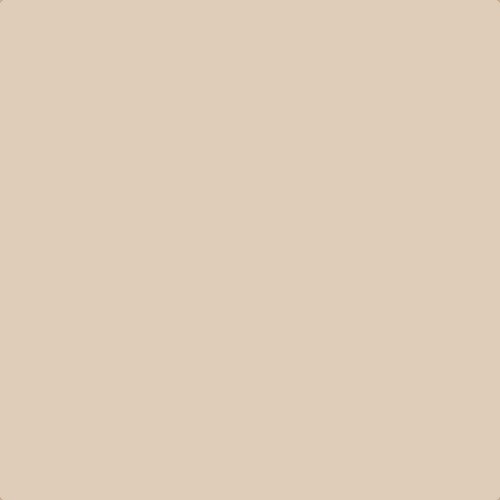 Flat image of Craig & Rose Dried Plaster paint with a soft matt finis