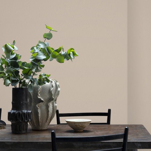 Interior room painted in Craig & Rose Pale Cashmere with garden views and natural accents