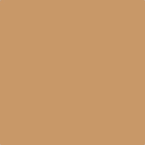 Flat image of Craig & Rose Papyrus paint in a soft warm neutral finish