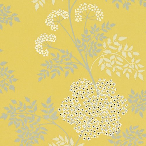 Sanderson Cowparsley Chinese Yellow Wallpaper