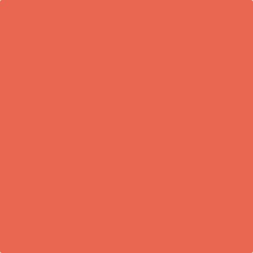 Earthborn Fruit Salad Claypaint