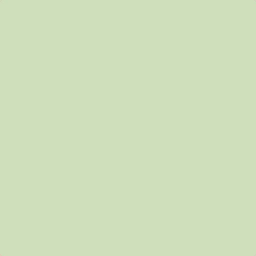 Earthborn Sapling Claypaint