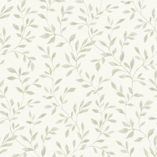 Grandeco Nerine Sage Green Wallpaper with trailing leafy vine pattern on soft textured background