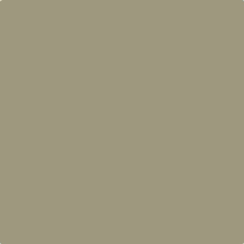 Johnstone's Trade Tabby Brown Paint