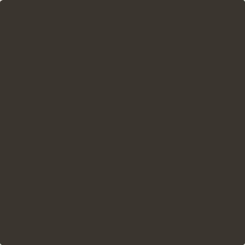 Johnstone's Trade Black Leopard Paint 
