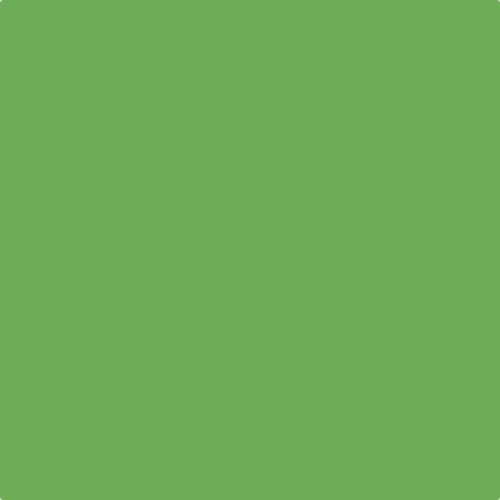 Leyland Trade Grassy Meadow Paint