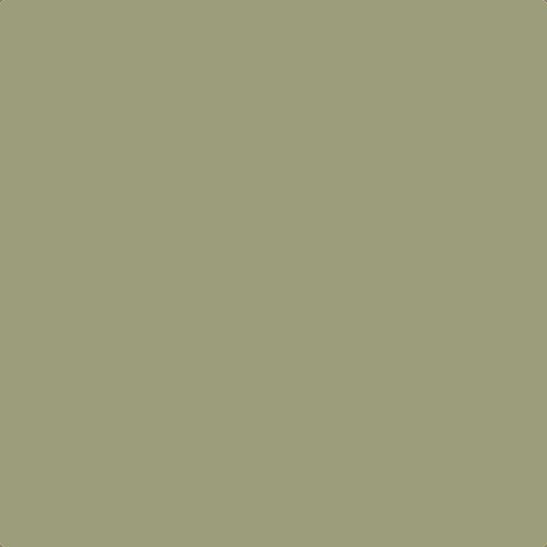 Leyland Trade Sage Green Paint