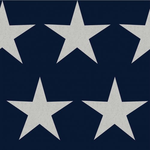 Next Stars Navy Blue Wallpaper 118330