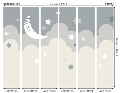 Origin Murals Nighttime Children's Sky Dove Grey Mural Panels