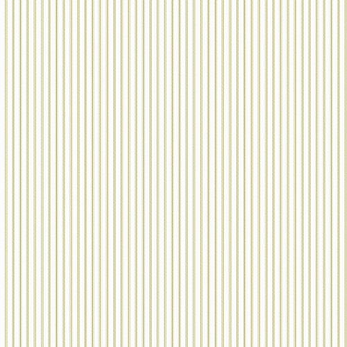 Galerie Pretty Prints Ticking Stripe White & Olive Wallpaper