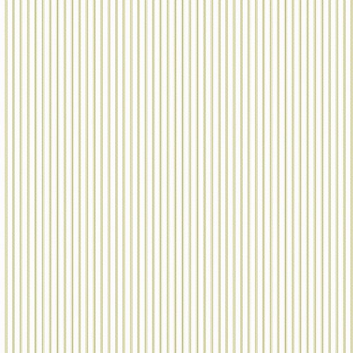 Galerie Pretty Prints Ticking Stripe White & Olive Wallpaper