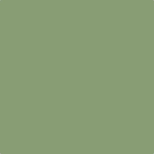 Sanderson Botanical Green Paint