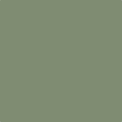 Sanderson Devon Green Paint