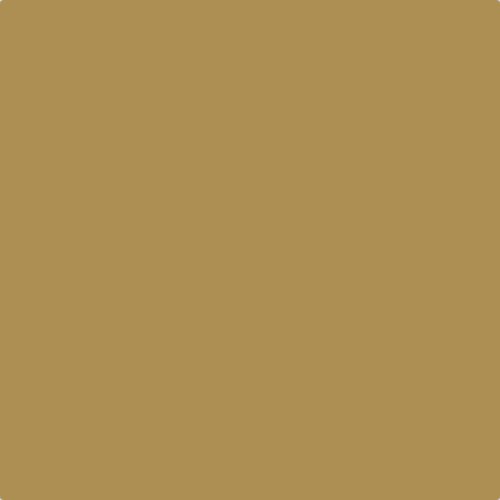 Sanderson Golden Honey Paint