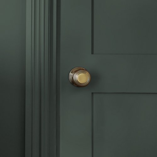 Close-up of Forest Tapestry paint colour