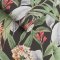 Graham & Brown Botanical Black Wallpaper Roll