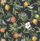 Graham & Brown Amalfi Umore Wallpaper Roll