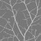 Graham & Brown Boreas Deep Grey Wallpaper