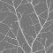 Graham & Brown Boreas Deep Grey Wallpaper