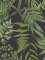 Graham & Brown Midsummer Fern Black Wallpaper