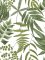 Graham & Brown Midsummer Fern Lush Wallpaper