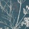 Superfresco Hedgerow Teal Wallpaper 112571