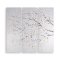 Blossom Tree Trail Canvas