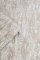 Laura Ashley Whinfell Champagne Wallpaper 114916
