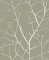 Graham & Brown Boreas Sage Wallpaper 119797