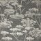 Graham & Brown Serene Seed-Head Taupe & Gold Wallpaper 119966