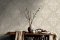 Holden Decor Harlen Beige Wallpaper Room