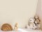 Galerie Dot Beige Wallpaper Room