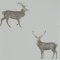 Sanderson Elysian Evesham Deer Silver Grey Wallpaper 216619