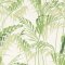 Sanderson Palm House Botanical Green Wallpaper 216643