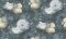 AS Creation Anke & Daan Vintage Rose Teal Wallpaper