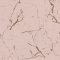 Living Walls St. Petersburg Marble Pink Wallpaper 378554