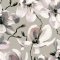 Galerie Flora Cherry Blossom Grey Wallpaper