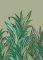 Rasch Amazing Tropical Grasses Green Mural