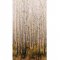 Grandeco Birch Tree Wall Mural