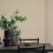 Interior room painted in Craig & Rose Coachella with a warm, natural look