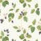 Sanderson Rubus Blackberry Wallpaper