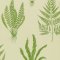 Sanderson Woodland Ferns Green Wallpaper DAPGWO102