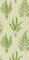 Sanderson Woodland Ferns Green Wallpaper DAPGWO102