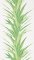 Sanderson Yucca Botanical Green Wallpaper